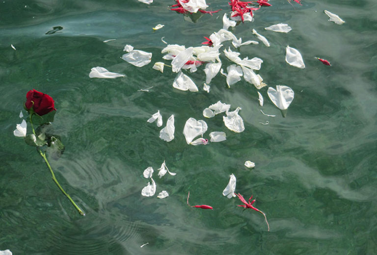 Cendres en mer en Finistère Dispersion de cendres et immersion d